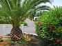 0003 Camping Benista